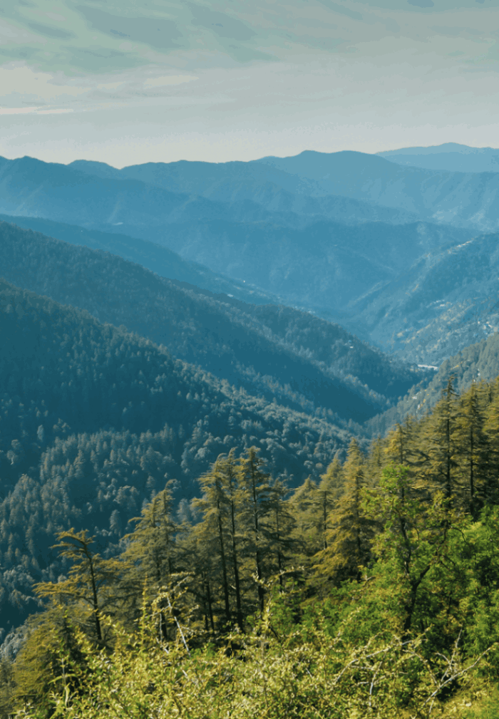Green Valley 